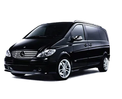 Mercedes Viano